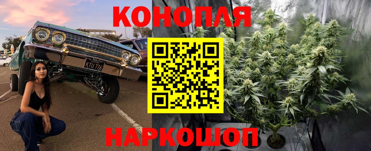 Конопля марихуана Белорецк